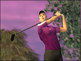 Tiger Woods PGA Tour 2004