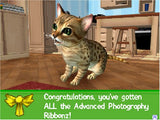 Petz Catz 2 - Nintendo DS