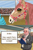 Petz Pony Beauty Pageant - Nintendo DS