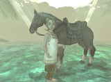 The Legend of Zelda: Twilight Princess