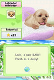 Petz Dogz Talent Show - Nintendo DS