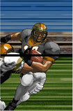 Tecmo Bowl: Kickoff Nintendo DS