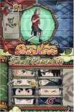 Naruto: Ninja Destiny Nintendo DS