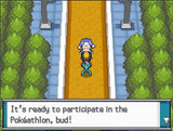 Pokemon HeartGold Version