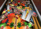 Pinball Hall Of Fame The Williams Collection