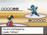 Pokemon SoulSilver Version