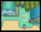 Pokemon SoulSilver Version