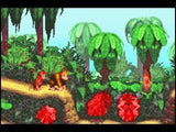 Donkey Kong Country