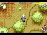 Barnyard - Nintendo Game Boy Advance