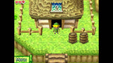 The Legend of Zelda: Phantom Hourglass - Nintendo DS