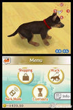 Nintendogs Chihuahua & Friends - Nintendo DS