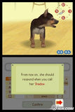 Nintendogs Chihuahua & Friends - Nintendo DS