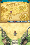 Rune Factory: A Fantasy Harvest Moon - Nintendo DS