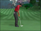 Tiger Woods PGA Tour 2004