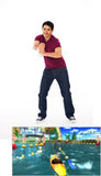 Wii Sports Resort