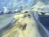 Arctic Tale - Nintendo Wii