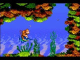 Donkey Kong Country